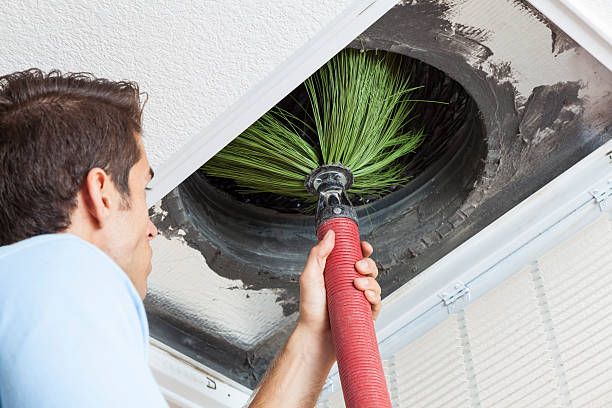 Best Air Duct Cleaning Near Me  in Berwick, LA