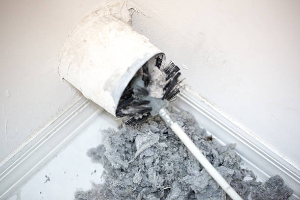 Best Ductwork Cleaning Services  in Berwick, LA